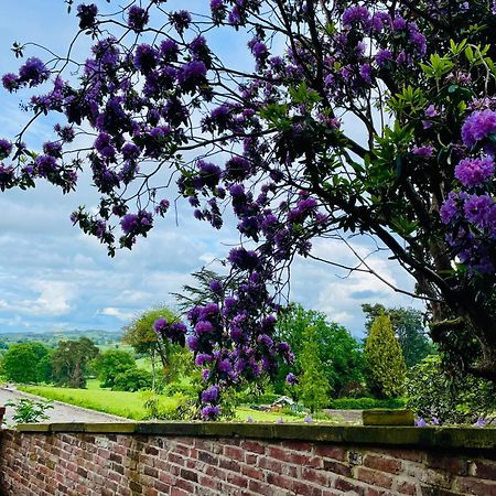 Llanerchydol Hall Suites Welshpool Εξωτερικό φωτογραφία